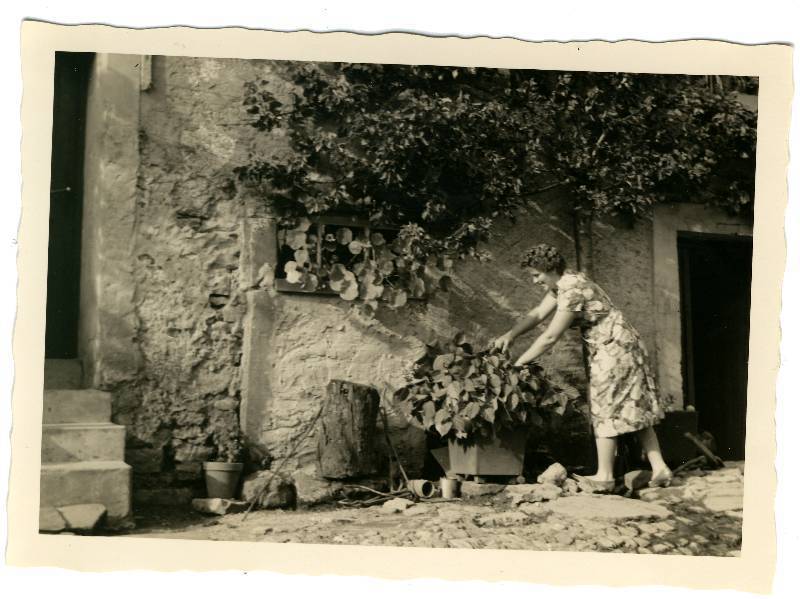 50er Jahre Bild Nr.062